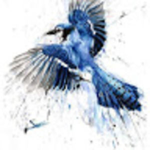 Meet your Posher, Lucia